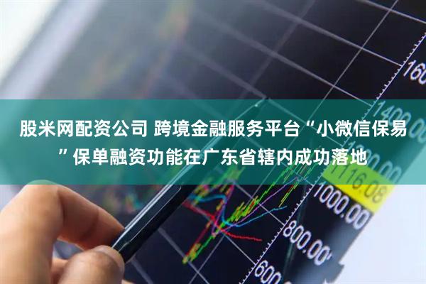 股米网配资公司 跨境金融服务平台“小微信保易”保单融资功能在广东省辖内成功落地