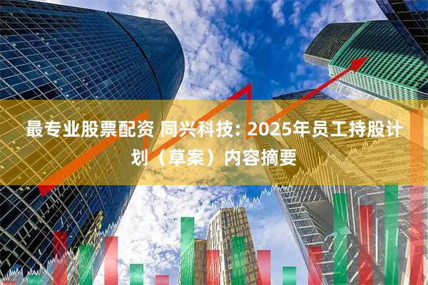 最专业股票配资 同兴科技: 2025年员工持股计划（草案）内容摘要