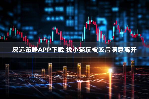 宏远策略APP下载 找小猫玩被咬后满意离开