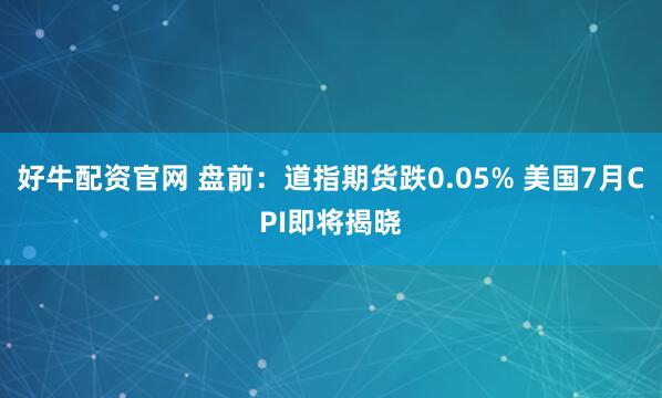 好牛配资官网 盘前：道指期货跌0.05% 美国7月CPI即将揭晓